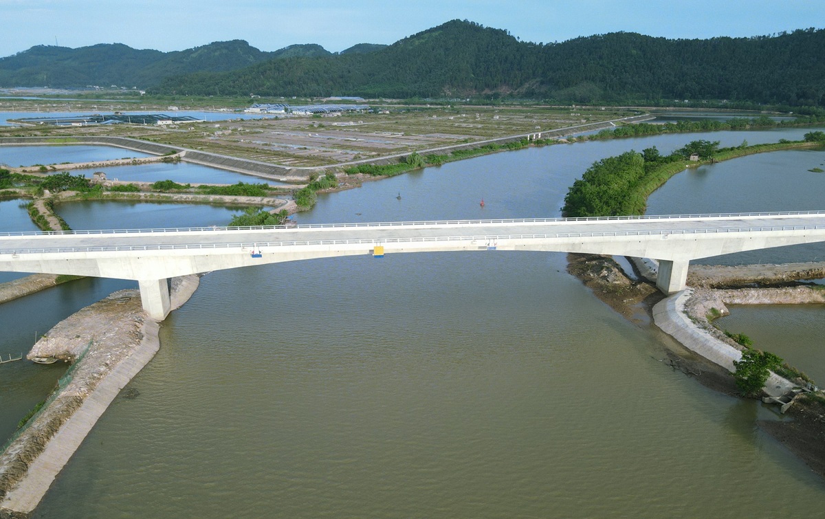 Ngắm cầu vượt dài nhất ven biển Thanh Hóa - Ảnh 8.